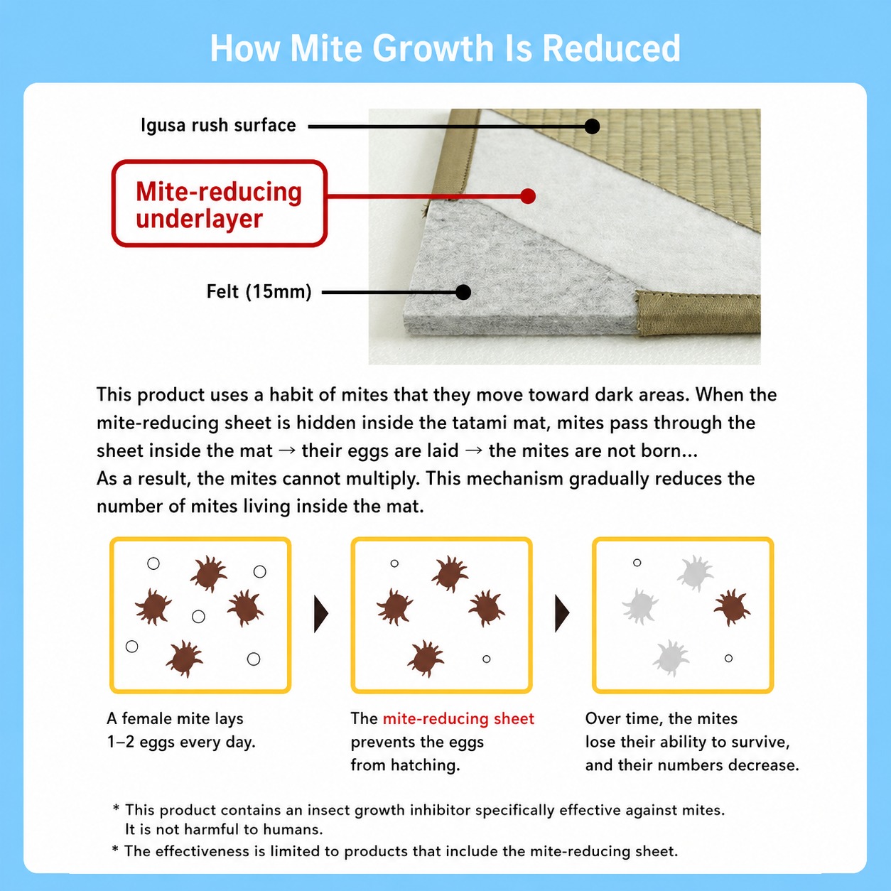 Anti-mite tatami mat Size and set options