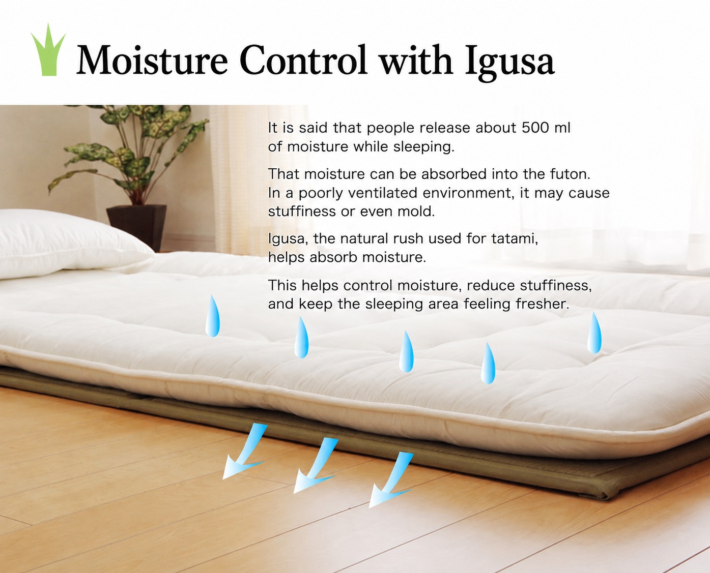 Igusa Mattress Use under a futon