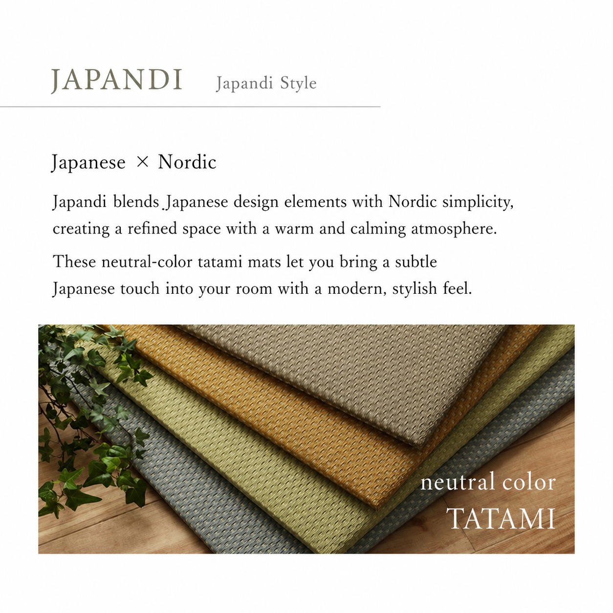 Misa Japandi-inspired interior design