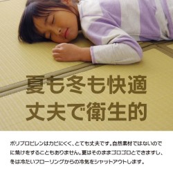 天竜置き畳